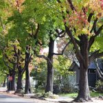 Neighborhood-Community-334535483